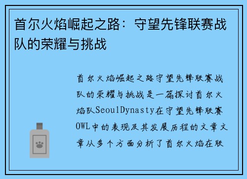 首尔火焰崛起之路：守望先锋联赛战队的荣耀与挑战